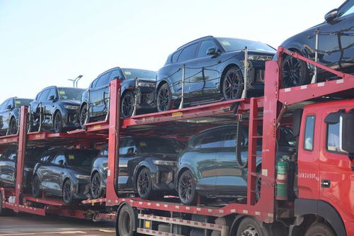 206輛商品車從阿拉山口口岸出口至中亞兩國